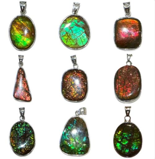 Pendentif Ammolite naturelle du Canada